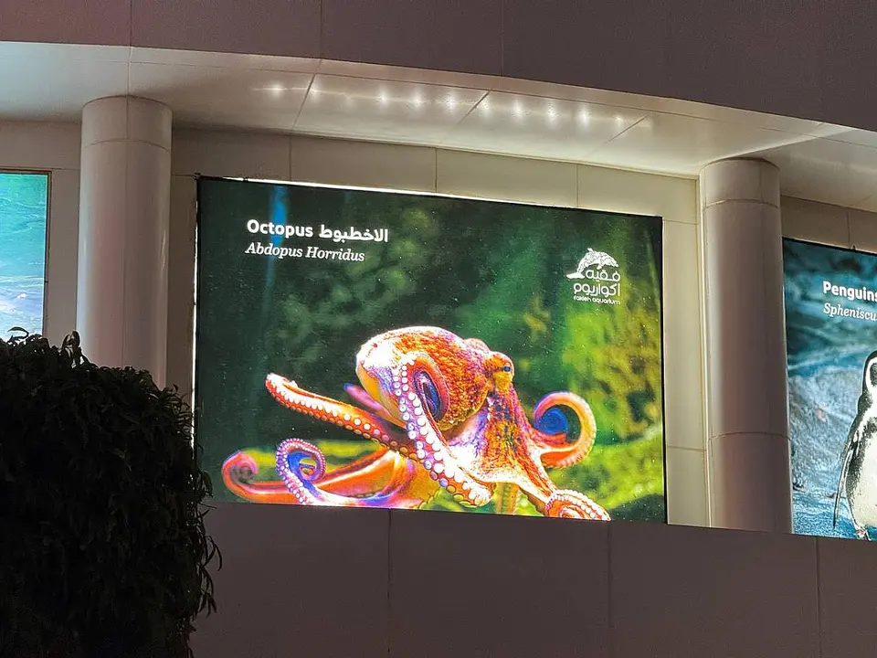 Fakieh Aquarium – Gano Abubuwan Al'ajabi na Rayuwar Ruwa