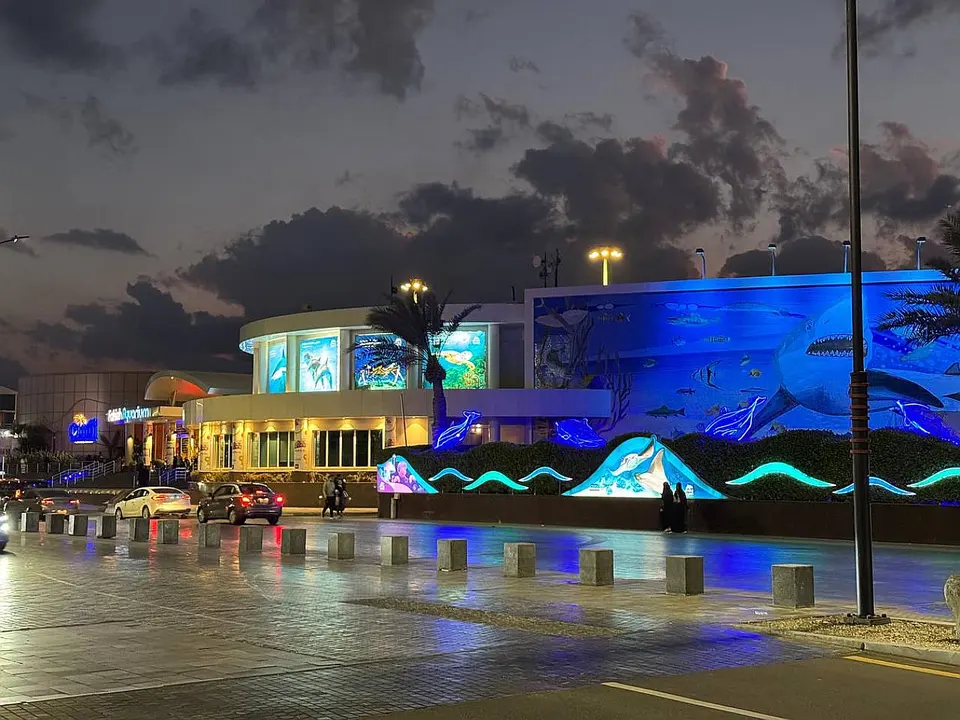 Fakieh Aquarium – Gano Abubuwan Al'ajabi na Rayuwar Ruwa