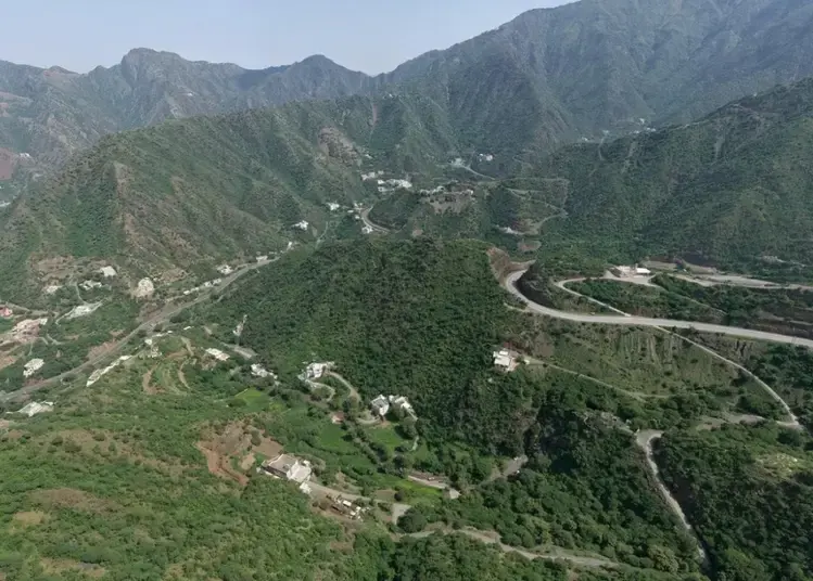 اکوسیستم‌های عربستان سعودی: از دریای سرخ تا عسیر