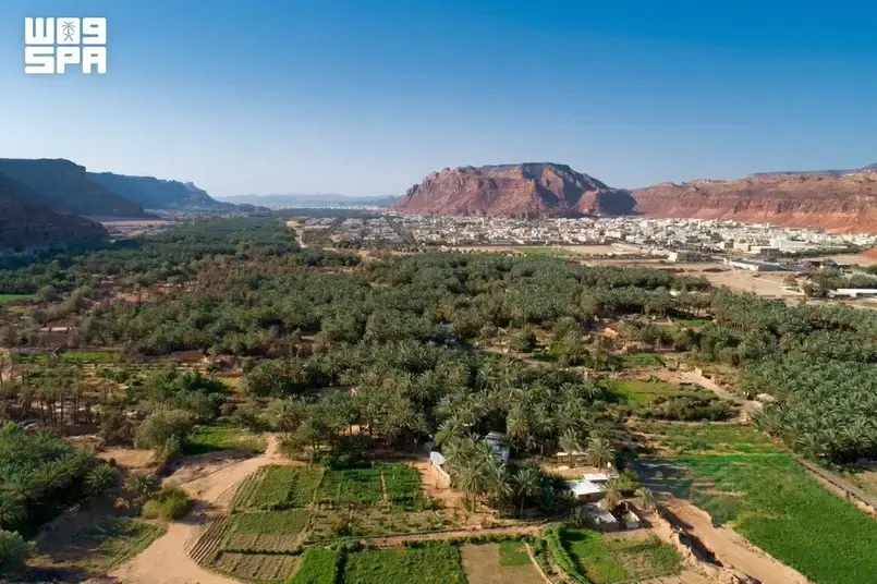 Al-Ula, 2026–2027 sezonunu 130 bin ton hurma ile başlattı