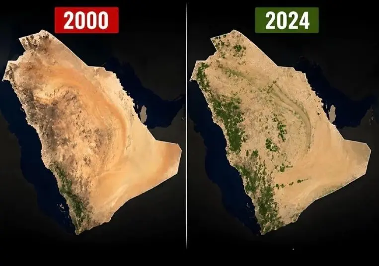 Suudi Arabistan'ın Yeşillendirilmesi: Çöl Dönüşümü Uzaydan Görülüyor