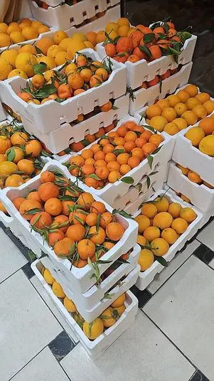 🌴 The Local Fruit Season in Saudi Arabia!