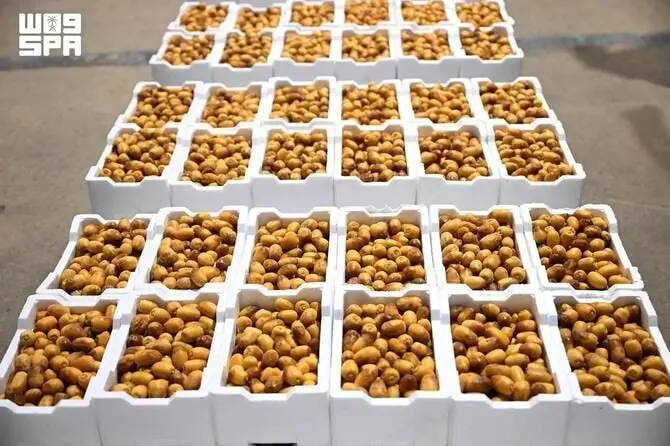موسم التمر في المدينة المنورة 2026: الثقافة والتقاليد والنكهات