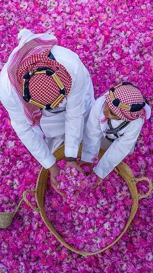 🌹 Taif – The Capital of Luxury Perfumes