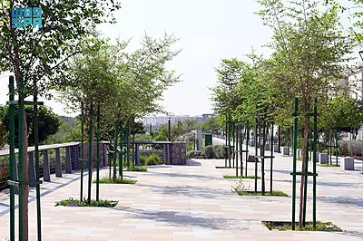 Wadi Qanat Walkway