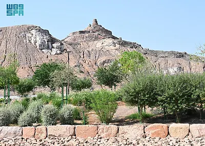 Wadi Qanat Walkway