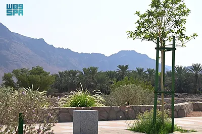 Wadi Qanat Walkway