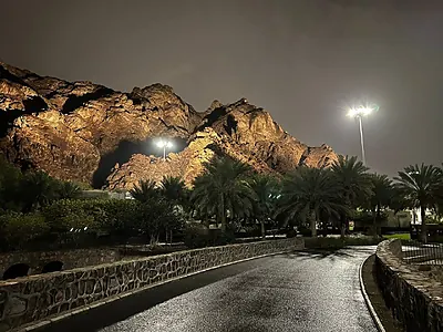 Prince Mohammed bin Abdul Aziz Park